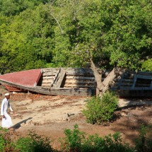 Man with boat in the mangoves